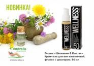Велнес «Шиповник&Каштан»