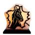 Лампа солевая лошадь (гималайская соль) фотография