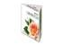 Эфирное масло МедикоМед Чайной розы, 10 мл фотография